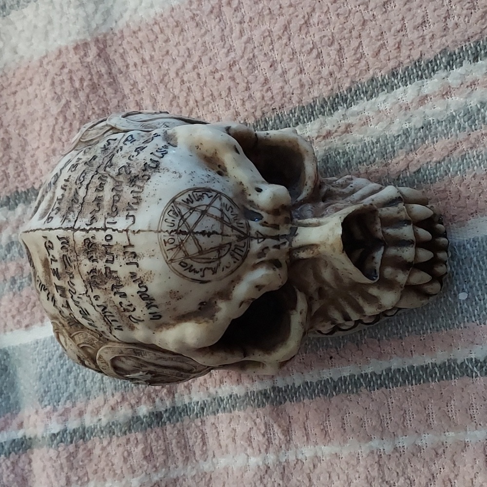 Skull